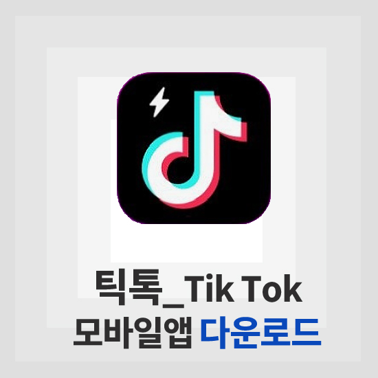 틱톡 앱